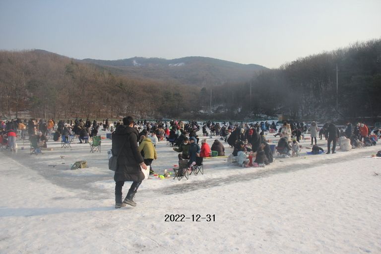2022/12/31 조황정보